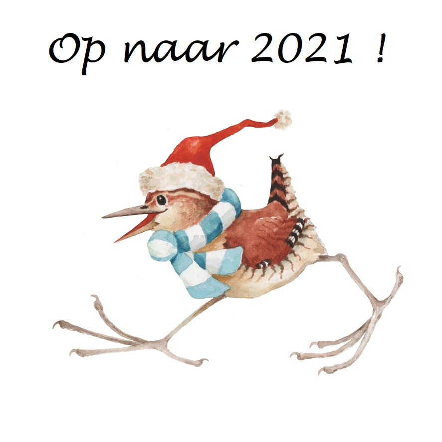 <b>kerstkaart 2021